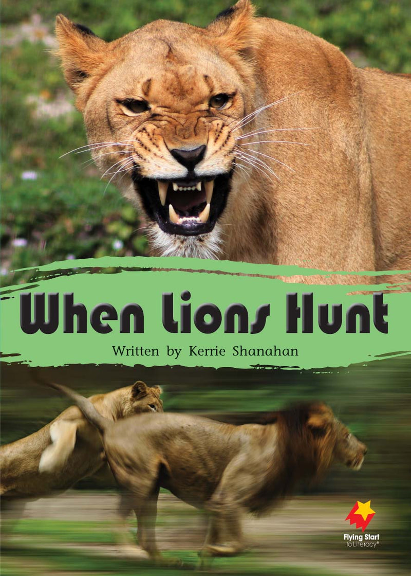 FS Level 15: When Lions Hunt