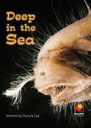FS Level 17: Deep in the Sea