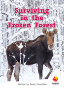 FS Level 17: Surviving in the Frozen Forest