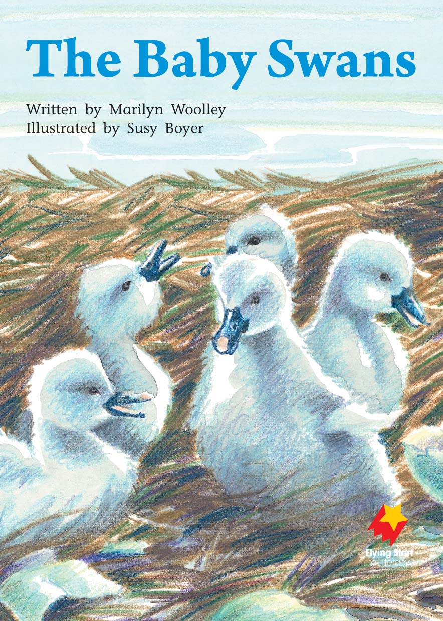 FS Level 18: The Baby Swans