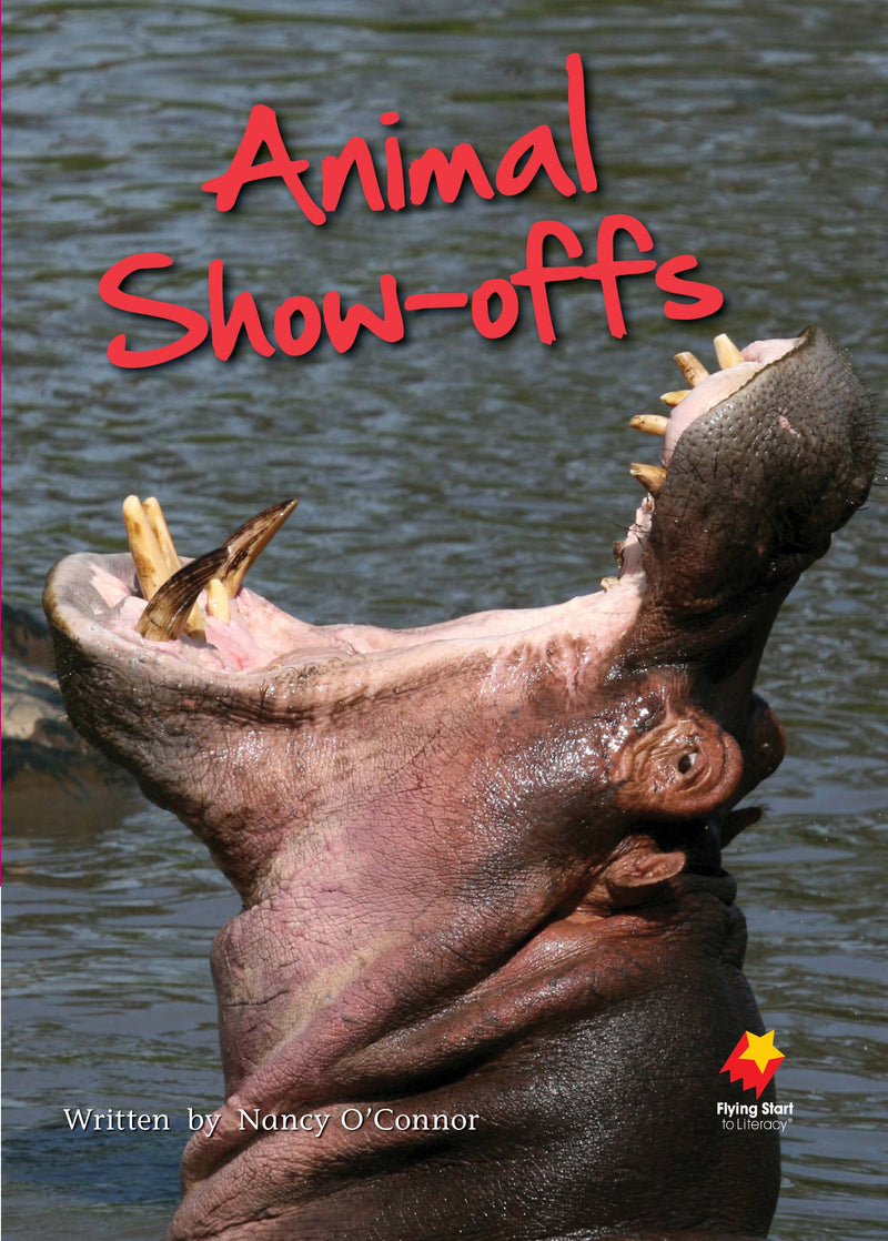 FS Level 19: Animal Show-offs