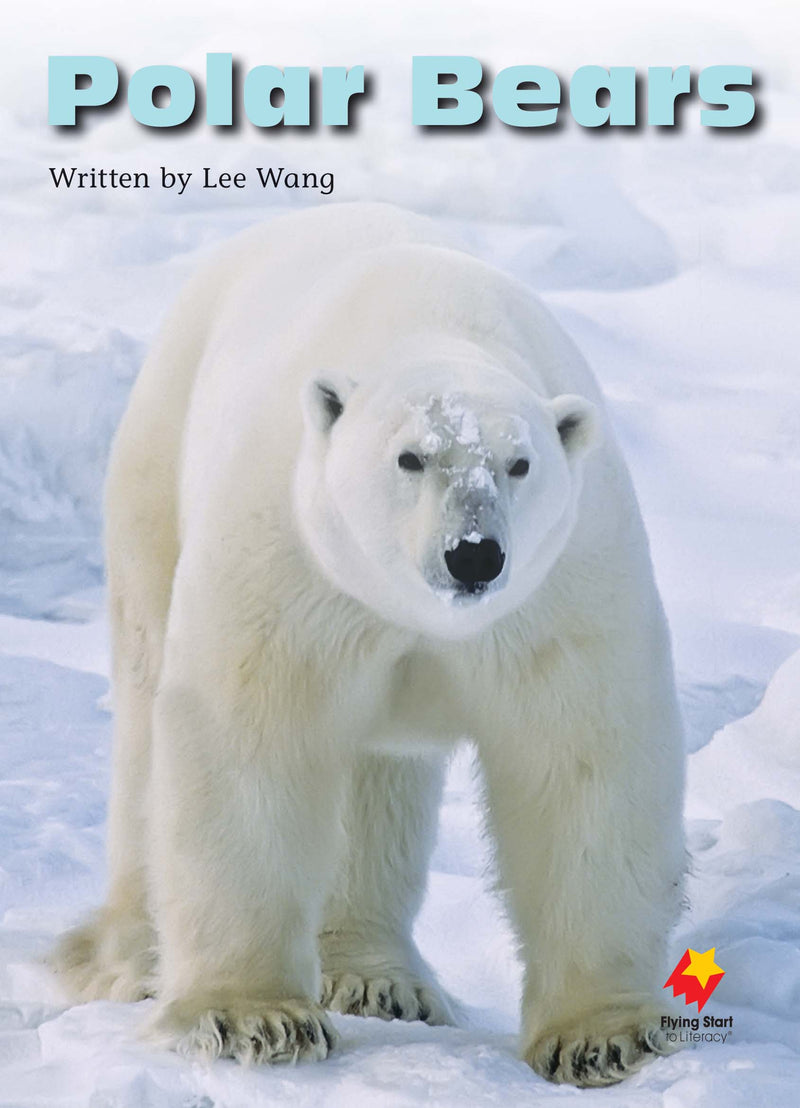 FS Level 19: Polar Bears
