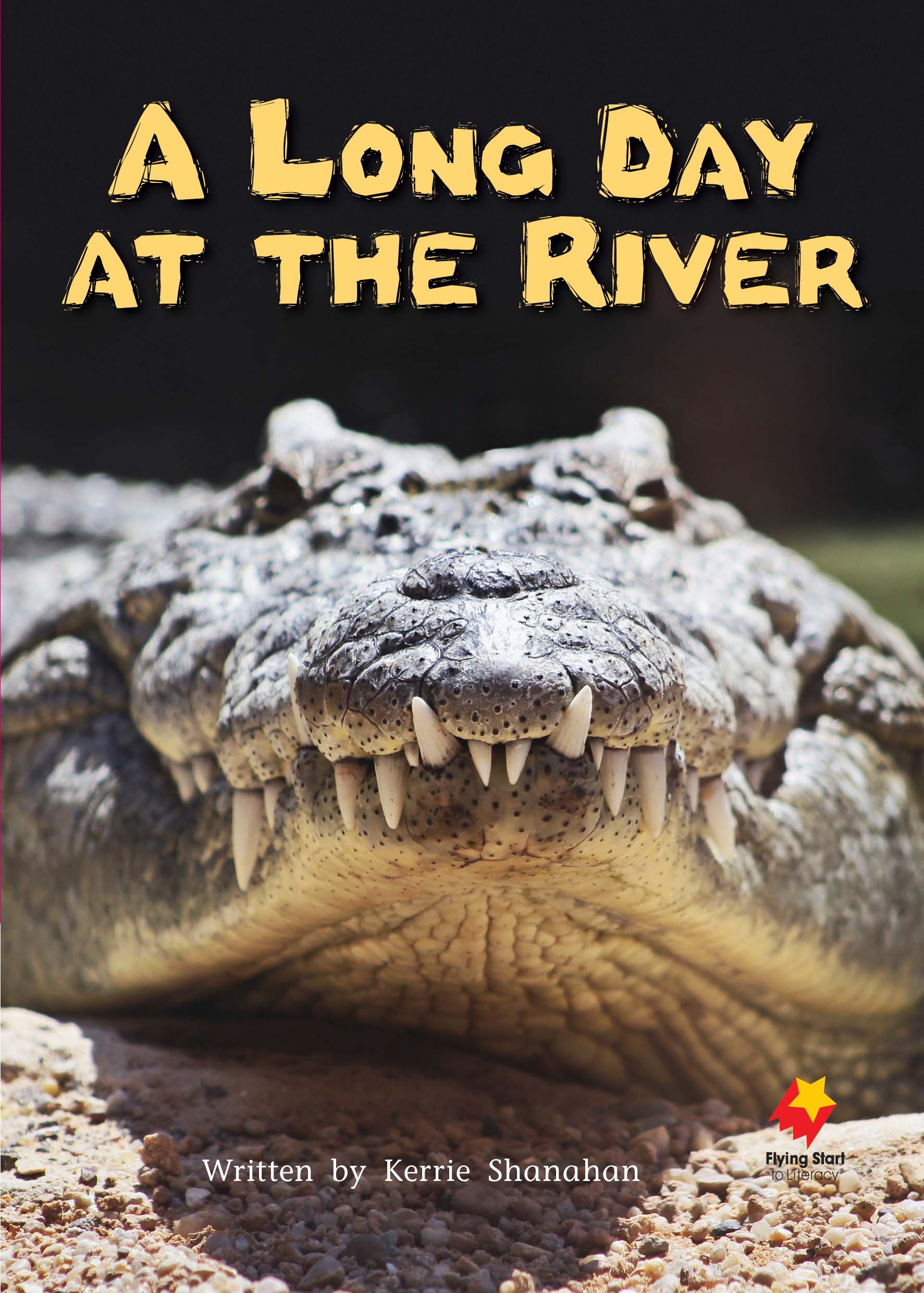 FS Level 20: A Long Day At The River