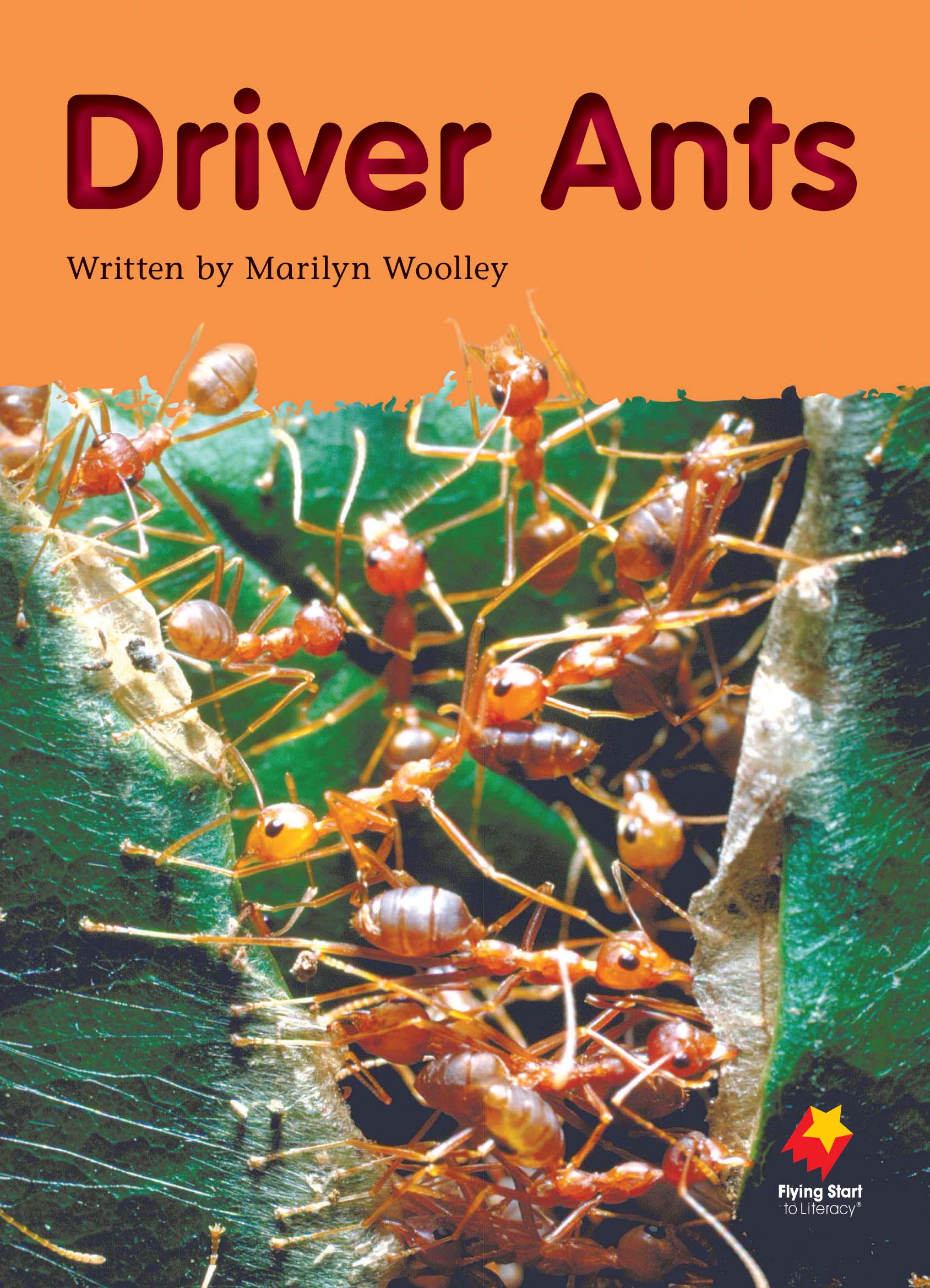 FS Level 20: Driver Ants