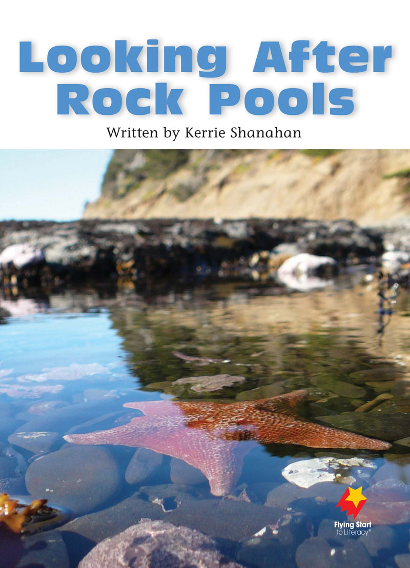 FS Level 20: Looking After Rock Pools