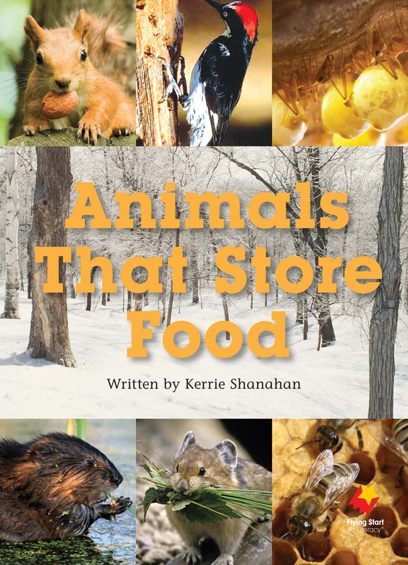FS Level 21: Animals That Store Food
