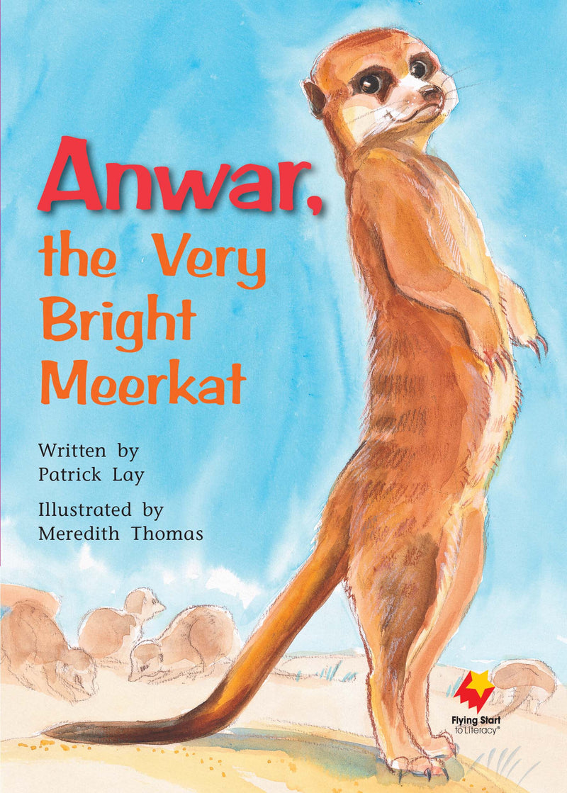 FS Level 21: Anwar, the Very Bright Meerkat