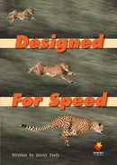 FS Level 22: Designed For Speed