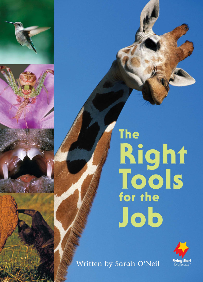 FS Level 22: The Right Tools for the Job