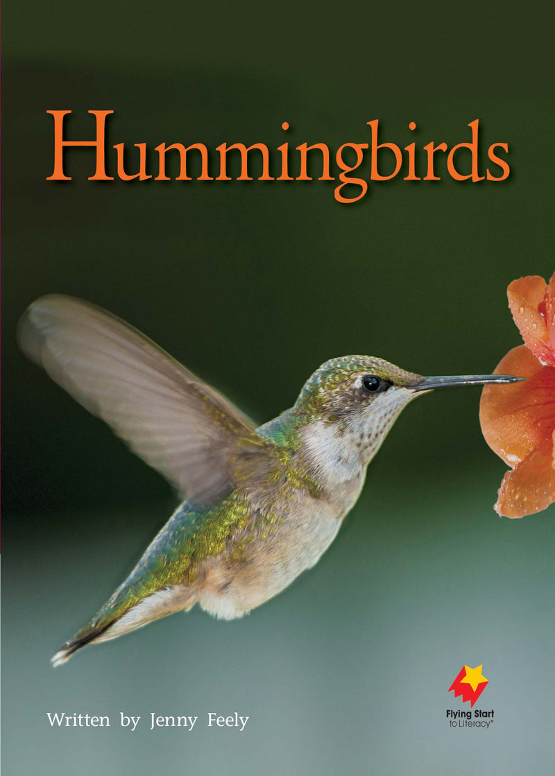 FS Level 23: Hummingbirds
