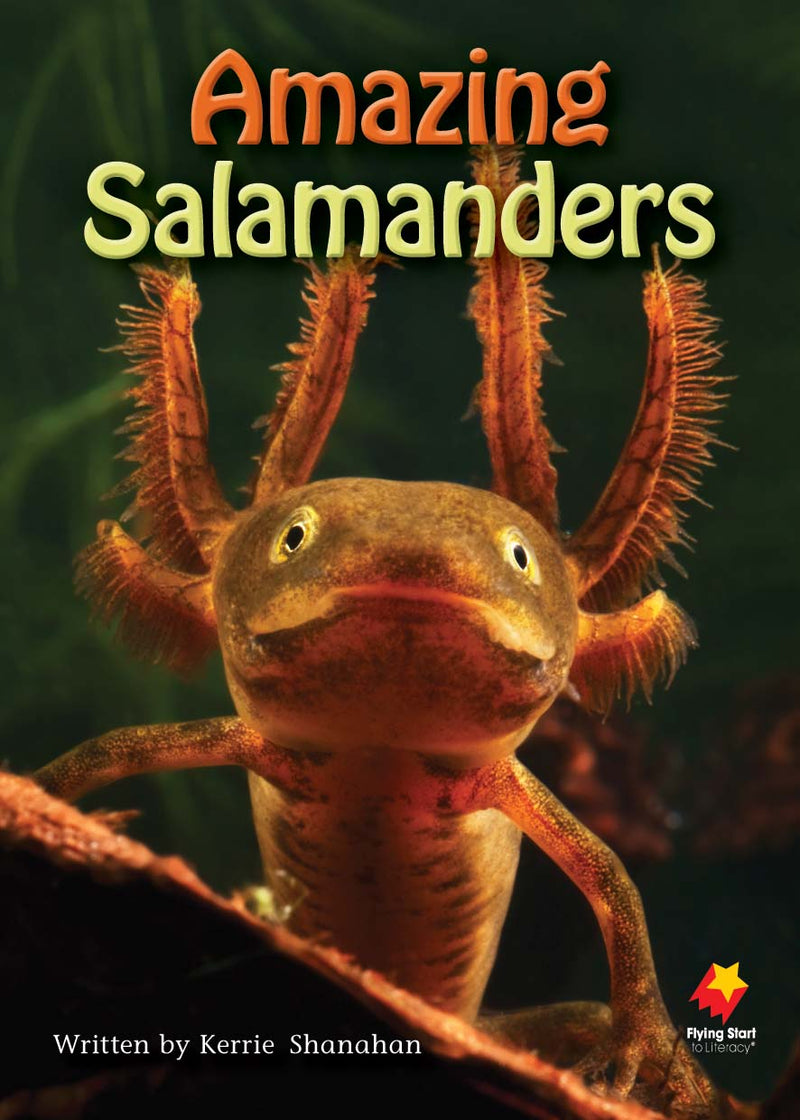 FS Level 25: Amazing Salamanders