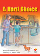 FS Level 29: A Hard Choice