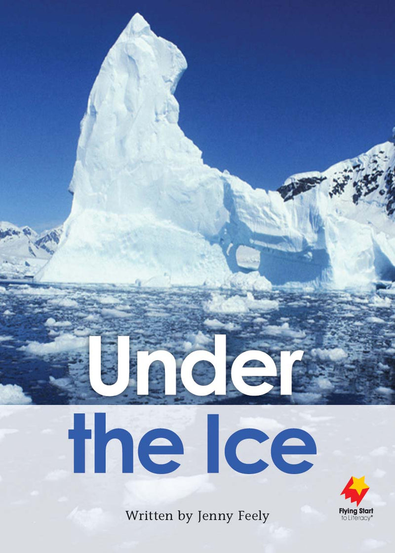 FS Level 30: Under the Ice