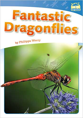 Dragonflies(L21-22): Fantastic Dragonflies