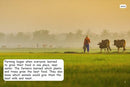 Red Rocket Fluency Level 2 Non Fiction C (Level 17): Farming