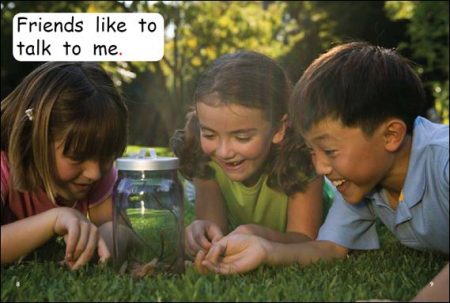Red Rocket Emergent Non Fiction B (Level 2): Friends are Fun