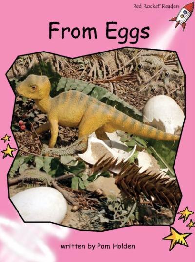 Red Rocket Pre-Reading Non Fiction A (Level 1): From Eggs
