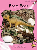 Red Rocket Pre-Reading Non Fiction A (Level 1): From Eggs