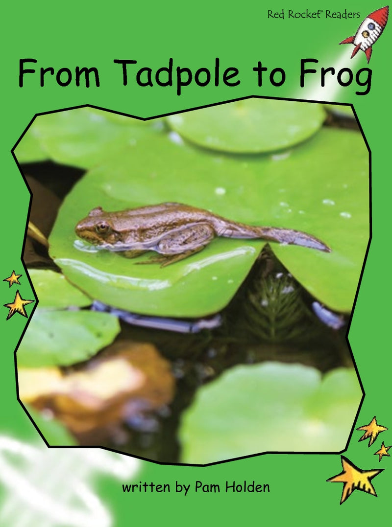 Red Rocket Readers Big Book: From Tadpole to Frog