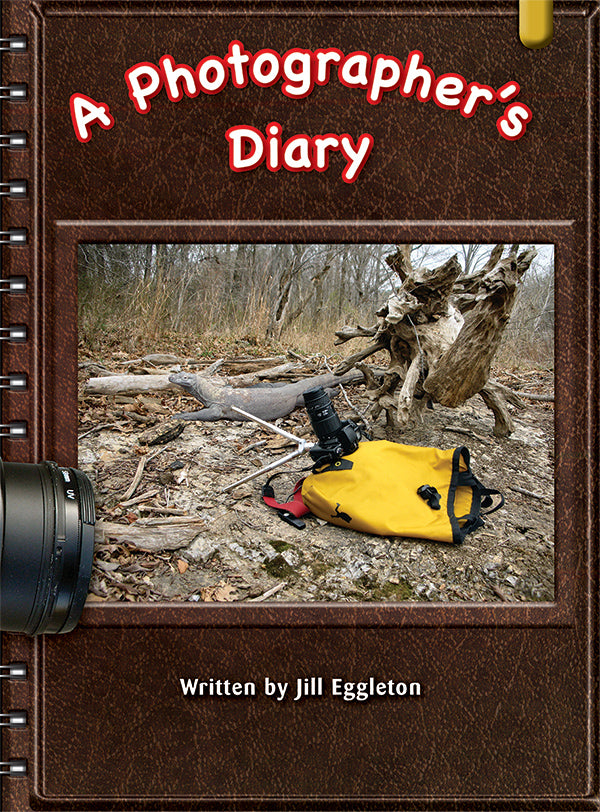 Key Links Gold, Level 21-22: A Photographer's Diary