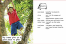 Red Rocket Early Level 3 Non Fiction C (Level 9): Good Things from Trees