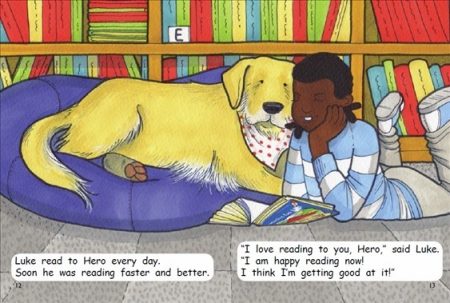 Red Rocket Fluency Level 1 Fiction C (Level 15): Hero