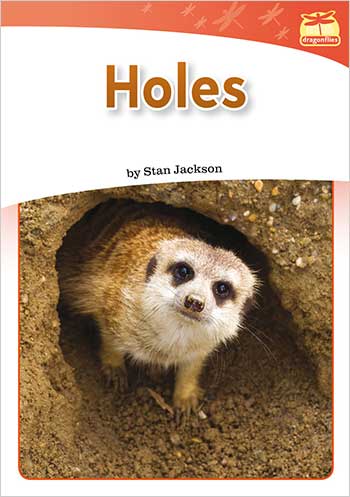 Dragonflies(L3-5): Holes