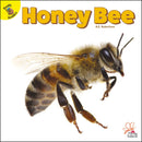 Ready Readers:Honey Bee