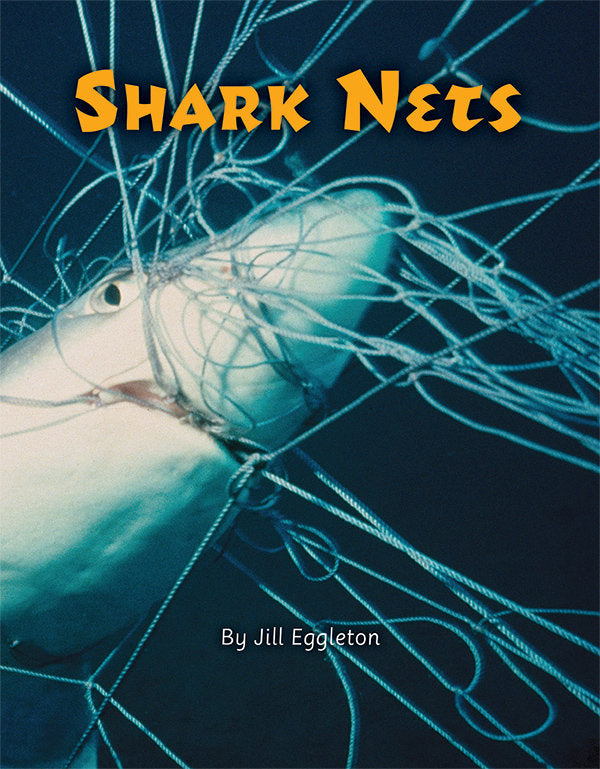 Into Connectors(L15-16): Shark Nets