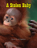 Into Connectors(L15-16) - A Stolen Baby