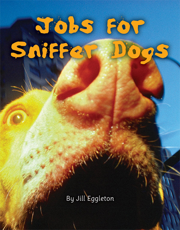 Into Connectors(L17-18): Jobs for Sniffer Dogs