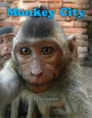 Into Connectors(L17-18): Monkey City