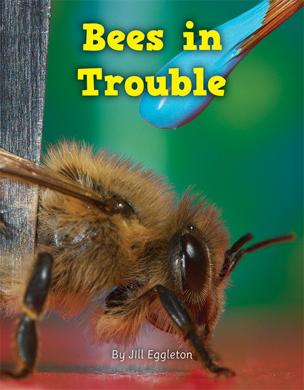 Into Connectors(L21-22): Bees in Trouble