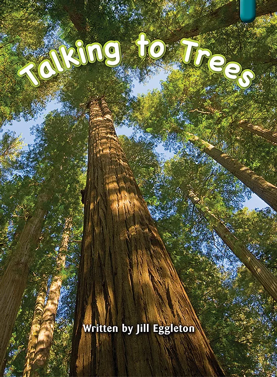 Key Links Emerald, Level 25-26: Talking to Trees