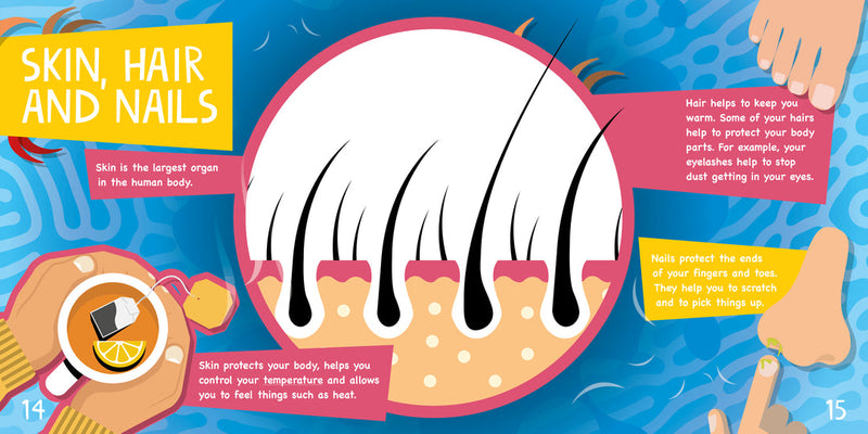 InfoPics: Parts of the Body-PB