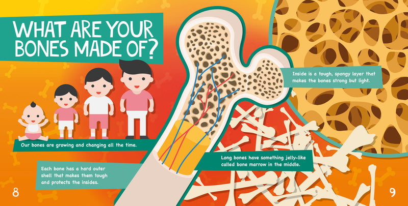 InfoPics: Skeleton-PB