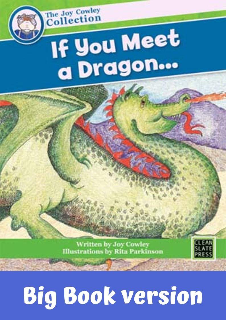 If You Meet a Dragon... (L2)Big Book