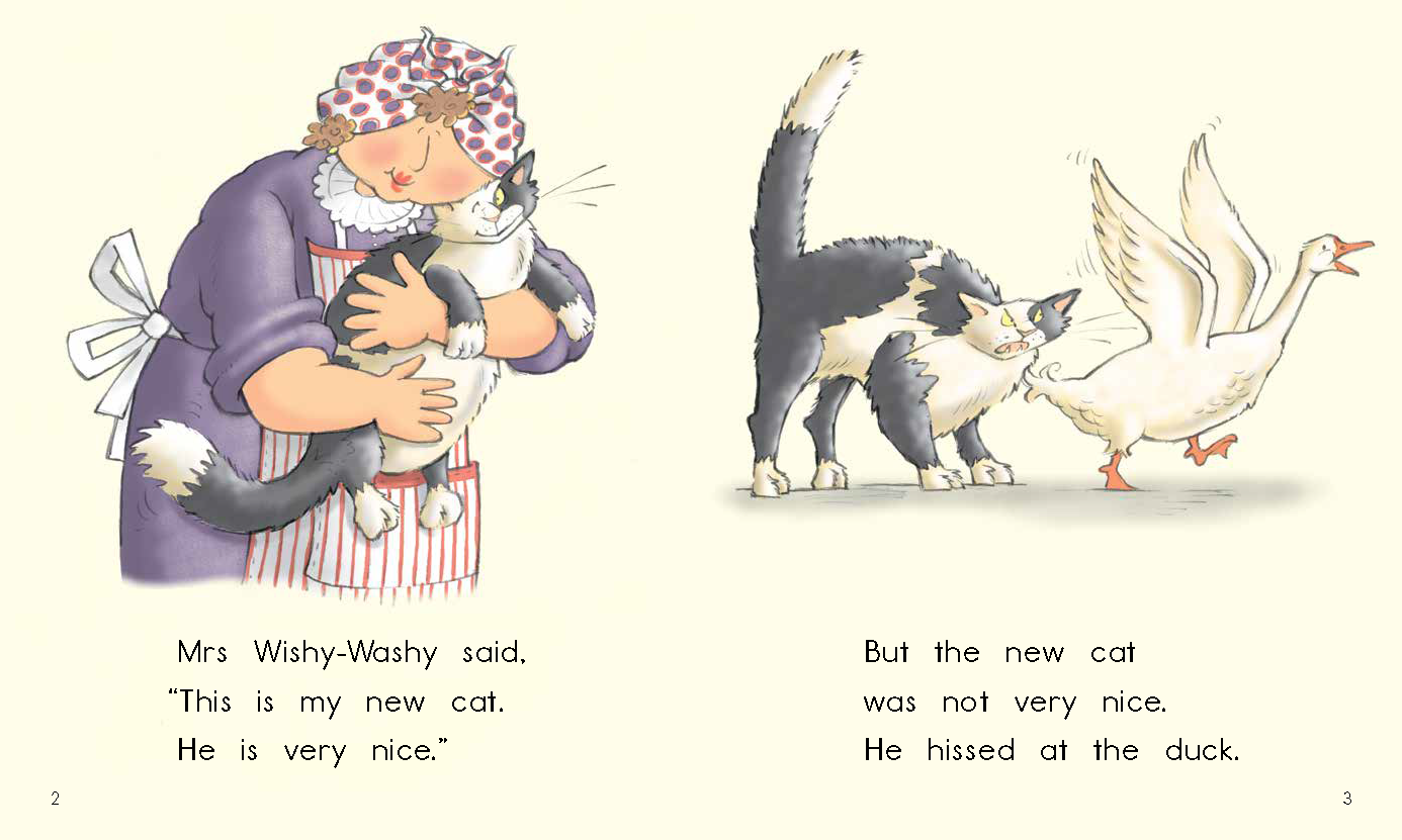 Wishy Washy Cat (L4)