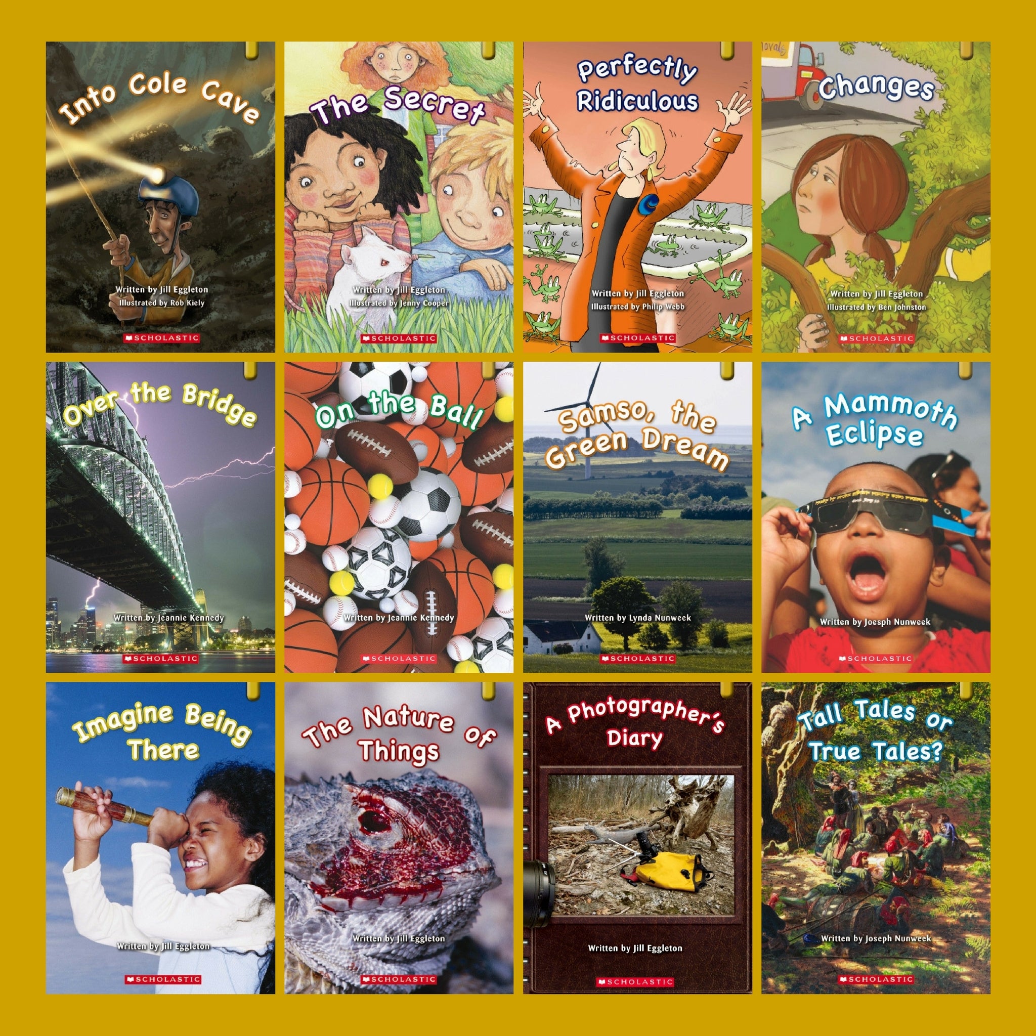 Key Links Fluency - Gold 12-book Set(Levels 21-22)