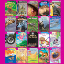 Key Links Emergent - Magenta 20-book Set(Levels 1-2)