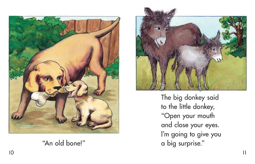 Sunshine Classics Level 10: Open Your Mouth! (2016 ed.)
