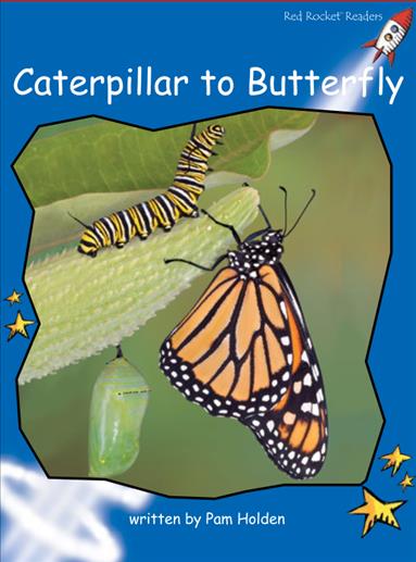 Red Rocket Early Level 3 Non Fiction C (Level 11): Caterpillar to Butterfly
