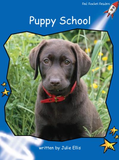 Red Rocket Early Level 3 Non Fiction A (Level 11): Puppy School