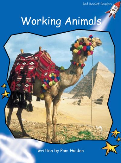 Red Rocket Early Level 3 Non Fiction B (Level 11): Working Animals