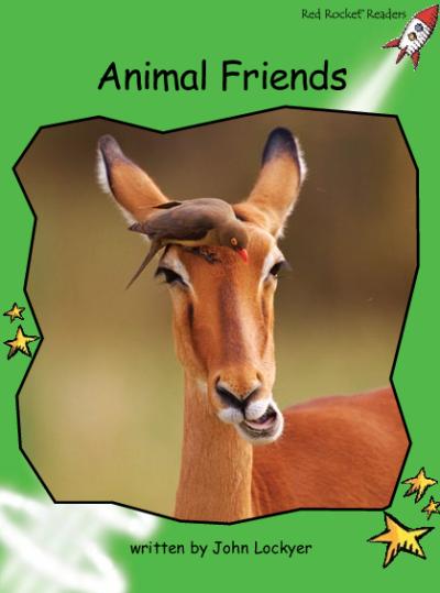 Red Rocket Early Level 4 Non Fiction B (Level 13): Animal Friends