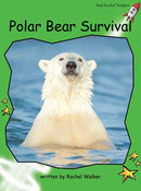 Red Rocket Early Level 4 Non Fiction C (Level 13): Polar Bear Survival