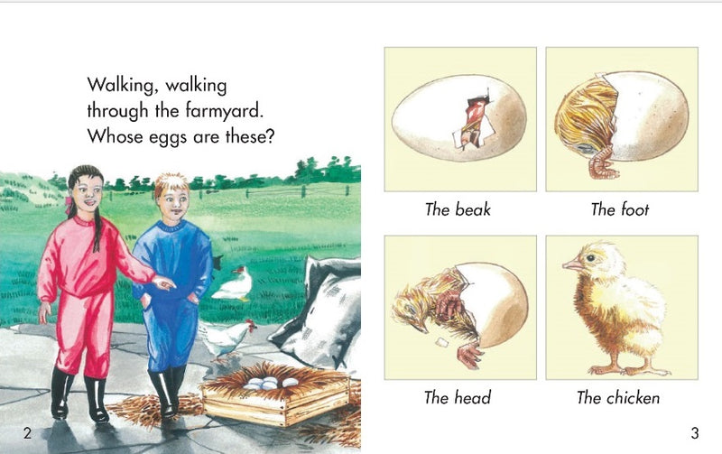 Sunshine Classics Level 13: Whose Eggs Are These?