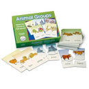 Animal Groups
