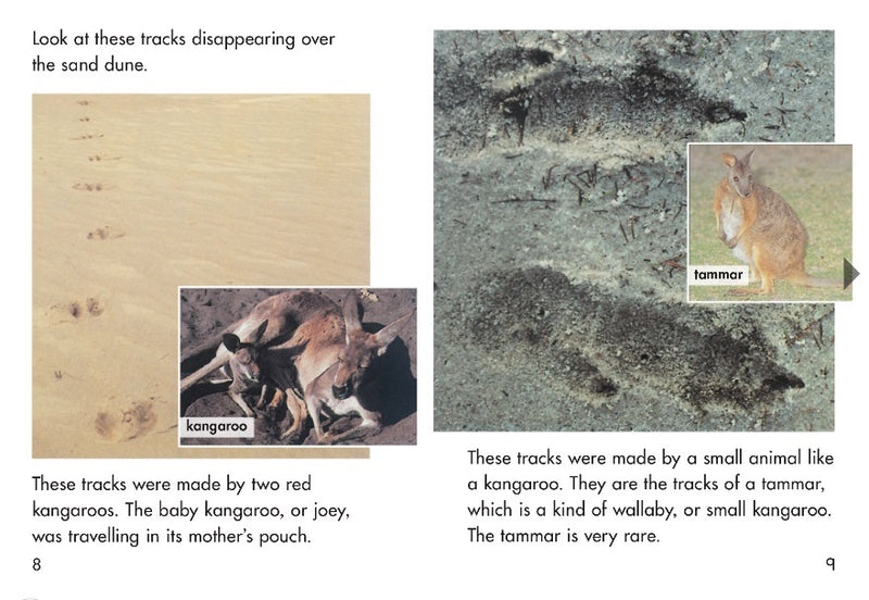 Sunshine Classics Level 18: Tracks in the Sand