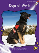 Red Rocket Fluency Level 3 Non Fiction B (Level 19): Dogs at Work